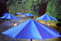 Christo: The Umbrellas, Japan - USA 1991 (6)