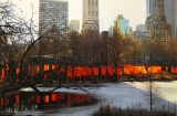 Christo: The Gates(1), 2005