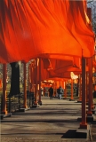 Christo: The Gates(3), 2005