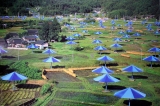 Christo: The Umbrellas, Japan - USA 1991 (4)